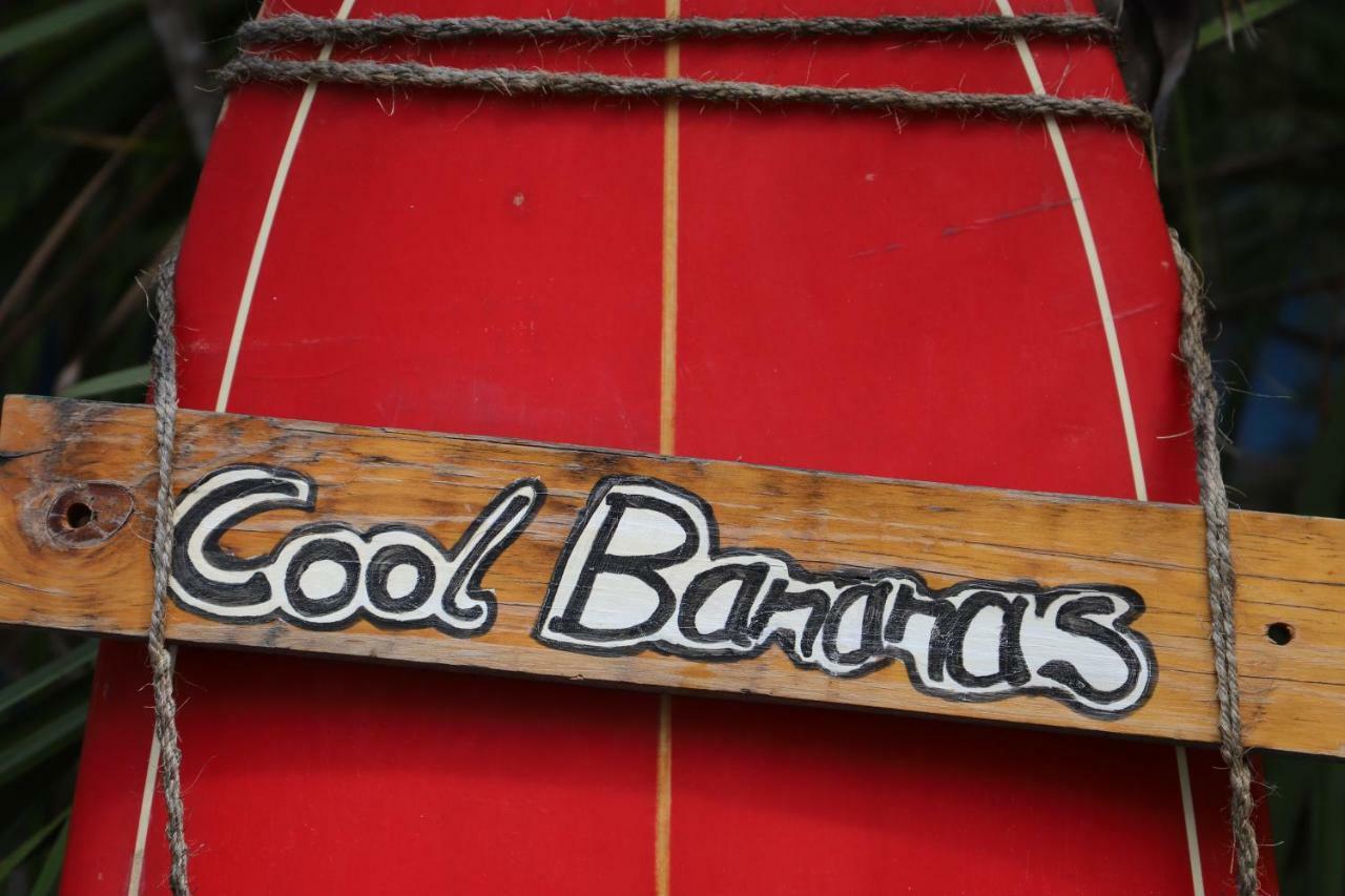 Ostello Cool Bananas Backpackers Agnes Water Esterno foto