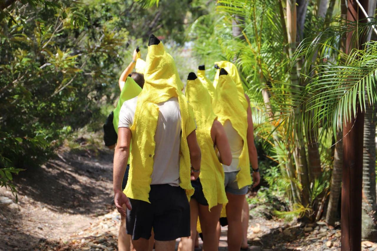 Ostello Cool Bananas Backpackers Agnes Water Esterno foto